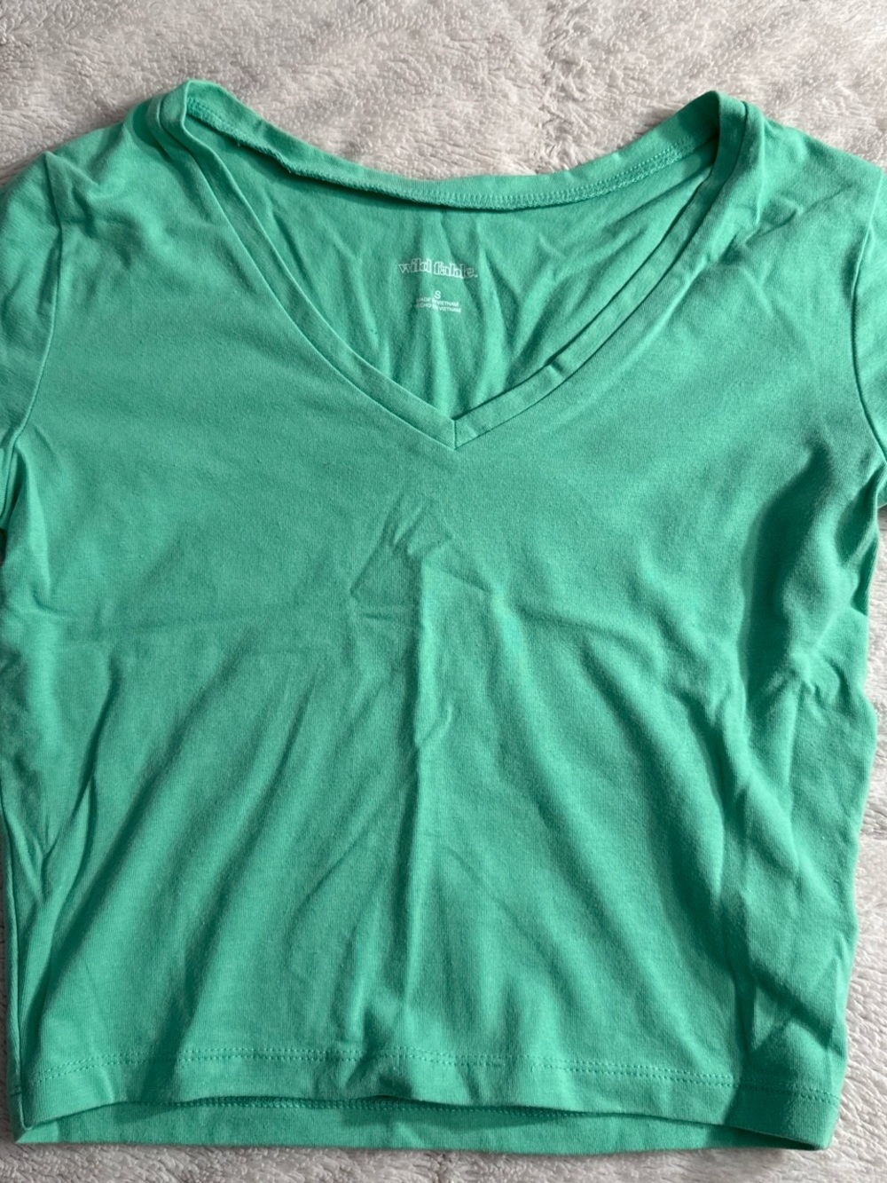 wild fable Mint Green V-Neck Crop Top